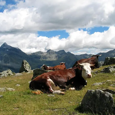 Giada - Appartamento Livigno